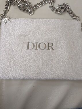 Dior Metallic White-Gold Chain Shoulder Pouch